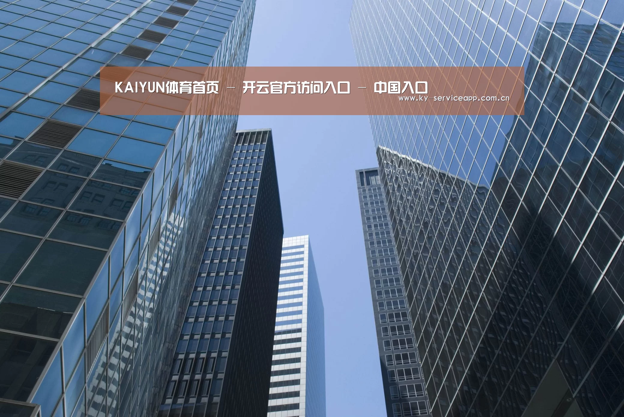 开云体育官网公司简介 