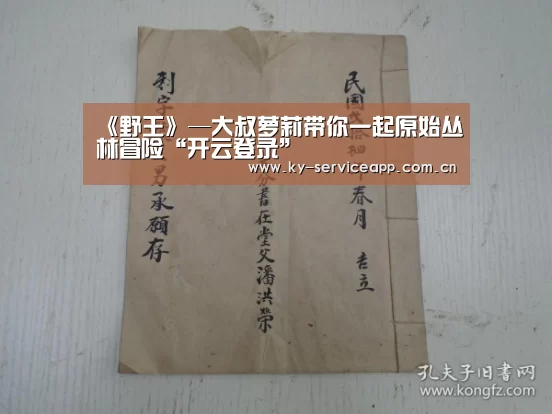 开云体育官网