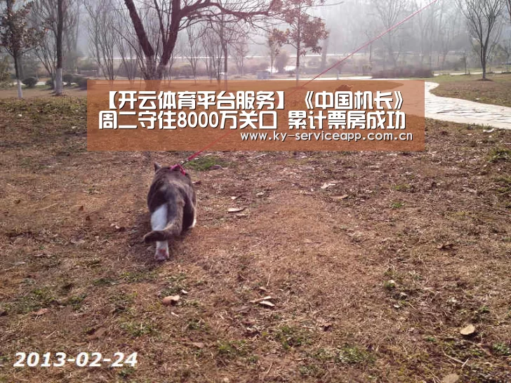 【开云体育平台服务】《中国机长》周二守住8000万关口 累计票房成功突破20亿