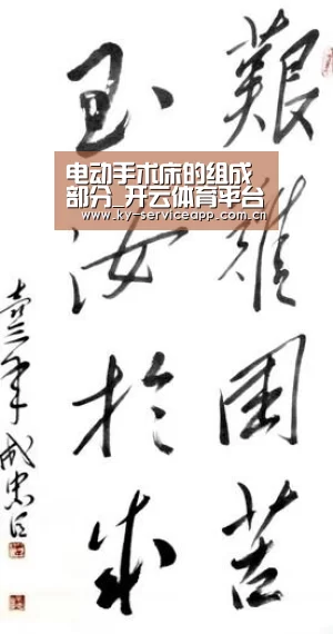 电动手术床的组成部分_开云体育平台服务