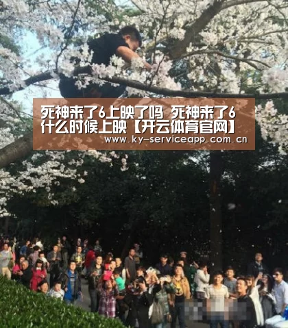 开云体育官网