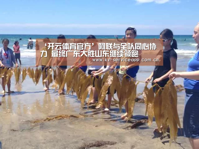 开云登录