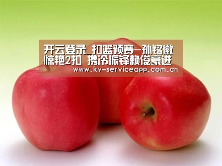开云登录