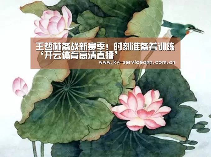 王哲林备战新赛季!时刻准备着训练‘开云体育高清直播’(图3) 开云体育官方