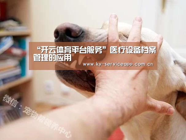 “开云体育平台服务”医疗设备档案管理的应用