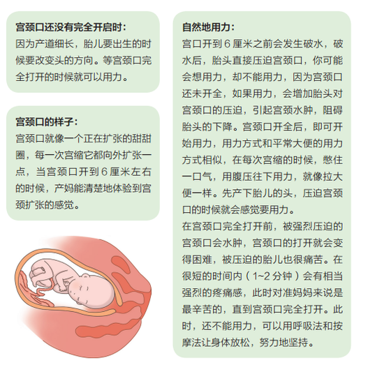 开云体育平台服务