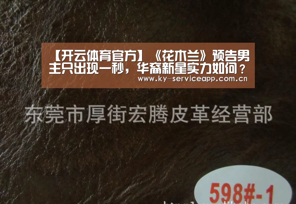 【开云体育官方】《花木兰》预告男主只出现