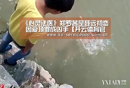 开云登录